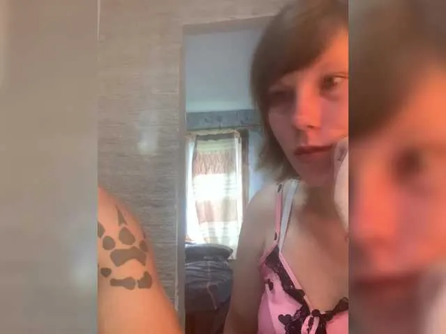 Dmeesk from BongaCams