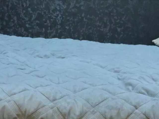 Kekseshoney from BongaCams