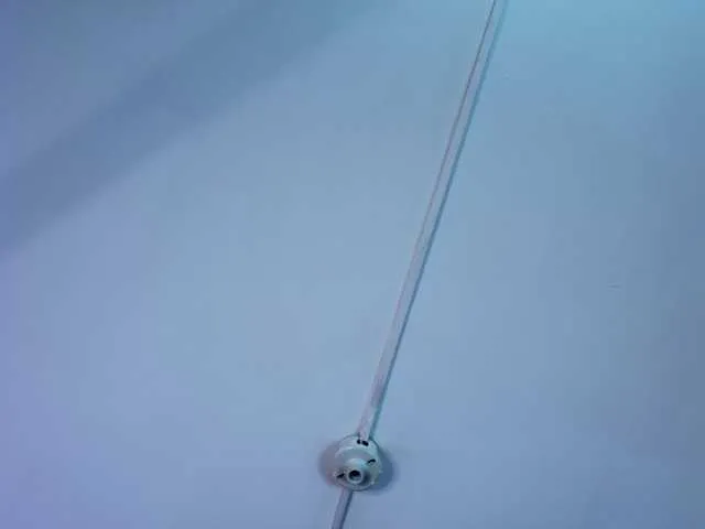 MegganSylph from BongaCams