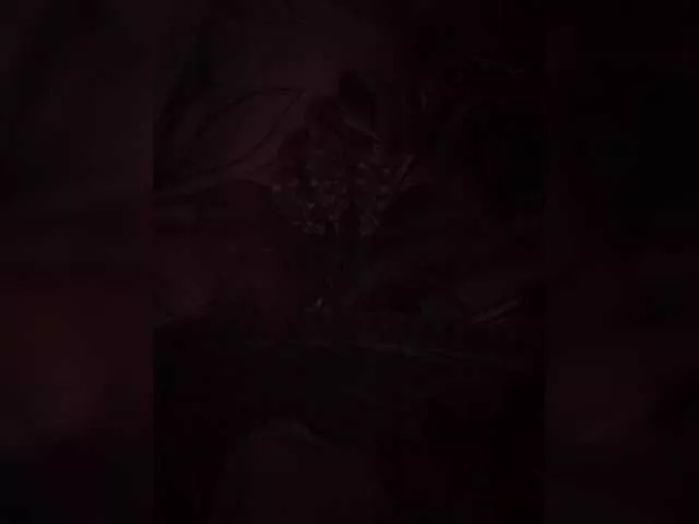 MsLukeme from BongaCams