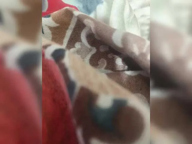 Sami1996 from BongaCams