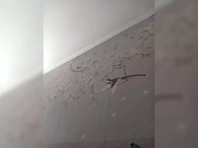 SashaZ1 from BongaCams