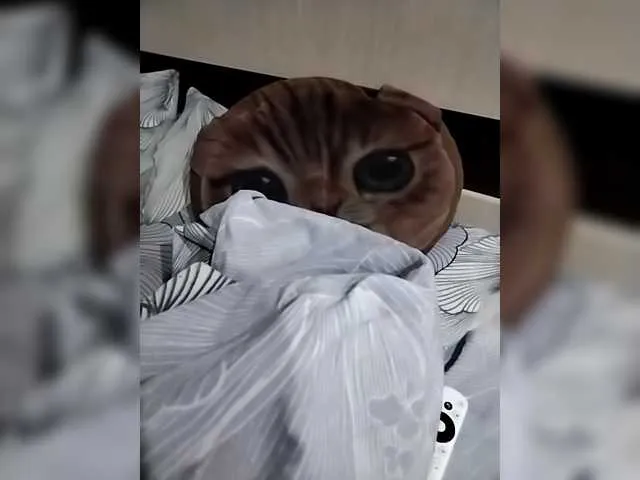 Sergananna from BongaCams is Freechat