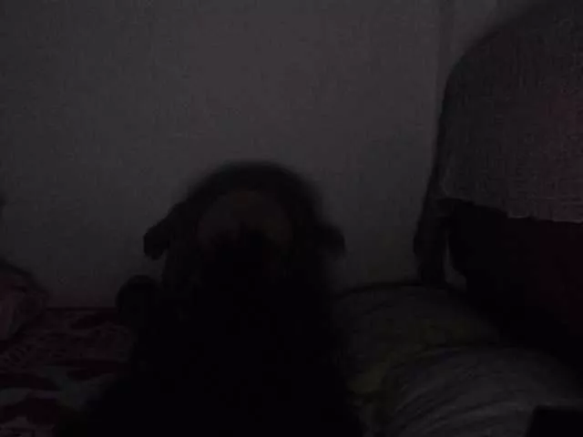 Sophia81 from BongaCams