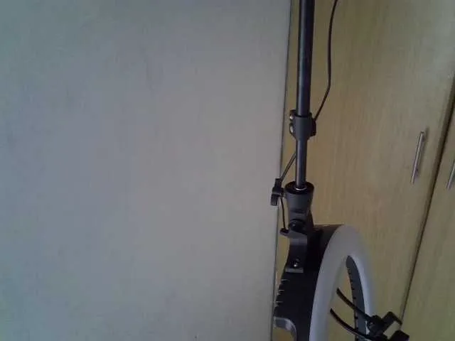 SweetRose from BongaCams is Freechat