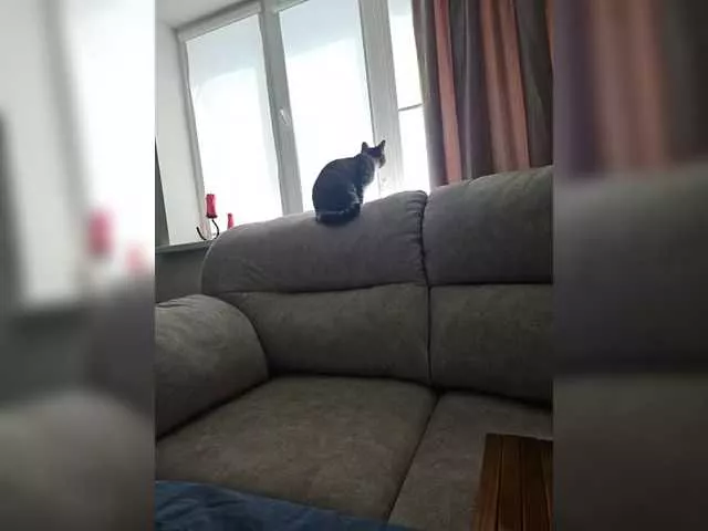 TUTSE-MILASHKA from BongaCams