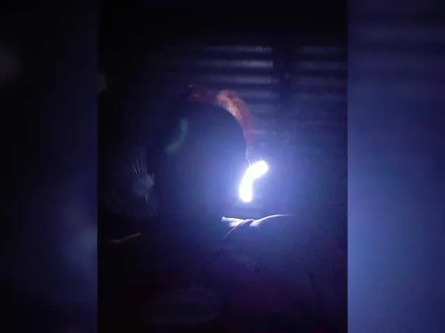 VelvetRose1 from BongaCams is Freechat