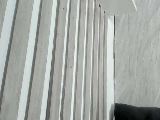 wandalover from BongaCams is Freechat