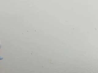 alejandra-dunn from CamSoda is Freechat