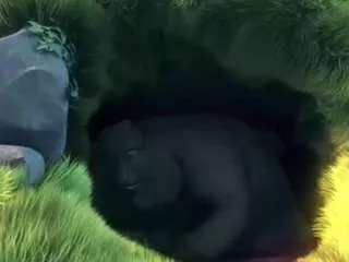 Amandahugnkiss from CamSoda