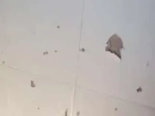 Deebabyy85 from CamSoda