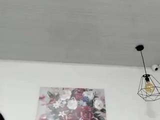 Liilygrey from CamSoda