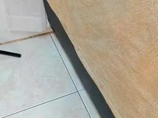 liz-ortega30 from CamSoda is Freechat