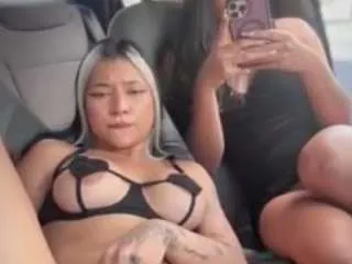 Girls: try live performances with matured performers, from dancing to quirks, in a variety of beautiful sex cams.