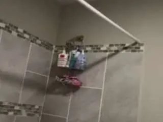 Sexxibossbabexoxo from CamSoda