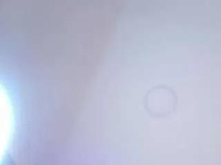 sofiaa-gonzales from CamSoda is Freechat