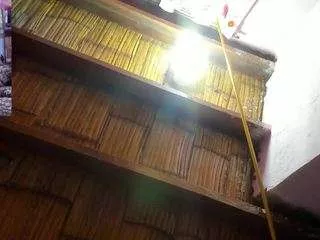 Staacy37 from CamSoda