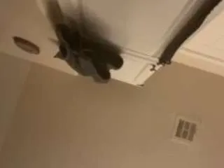 trickydick6 from CamSoda is Freechat