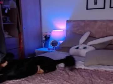 amadahaokii from Chaturbate is Freechat