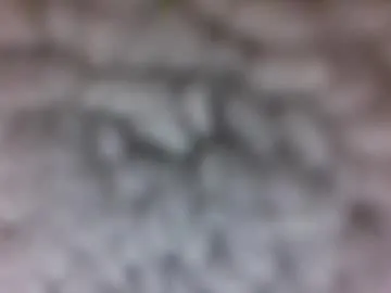 jokersluck from Chaturbate is Freechat