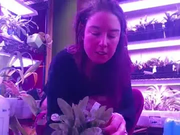 krookedorchid from Chaturbate is Freechat