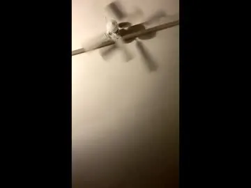 leearonn12 from Chaturbate is Freechat