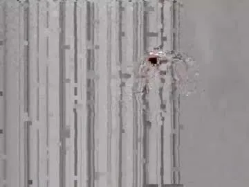 mike_foro from Chaturbate is Freechat