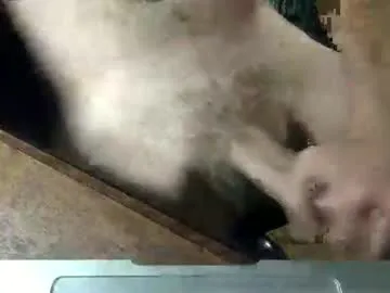 nicedickdave77 from Chaturbate is Freechat