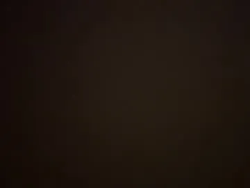 pleasureshared631 from Chaturbate is Freechat