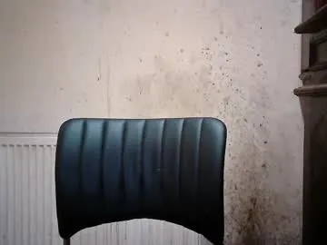 sexygeny4652 from Chaturbate is Freechat