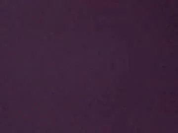 treedude303720 from Chaturbate is Freechat