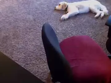 Willwill2222 from Chaturbate