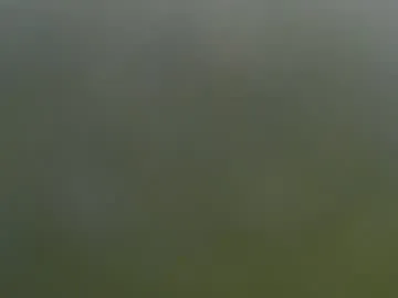 wisanonymousman from Chaturbate is Freechat