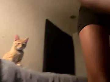 yungblackberry from Chaturbate is Freechat