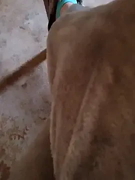 Alinasis23 from StripChat is Freechat