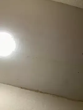 BeatriceTender from StripChat