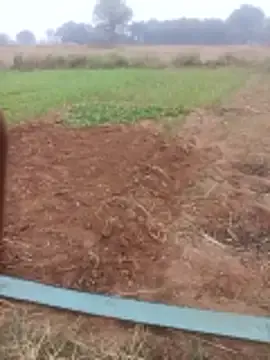 Chinki_pande from StripChat is Freechat