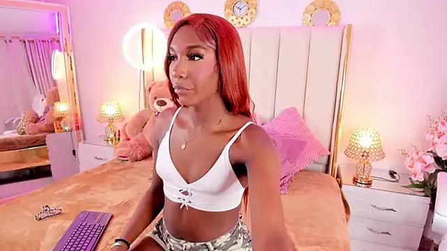 evangelin_ts from StripChat is Freechat