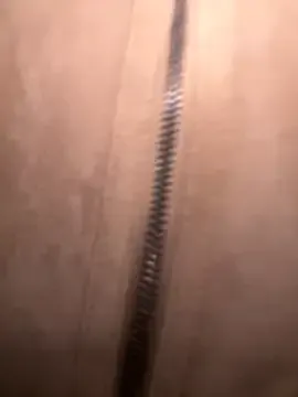 FroggyAnna from StripChat is Freechat