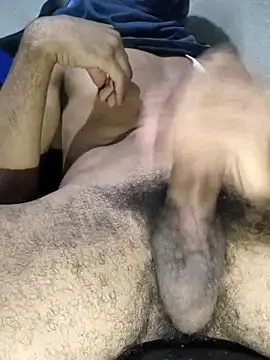 gaiteirosedutor03 from StripChat is Freechat