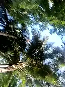 gulapi-gulistan180 from StripChat is Freechat