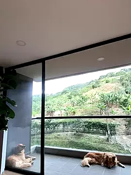 Helenbronwx from StripChat