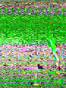 Luna-ass from StripChat is Freechat