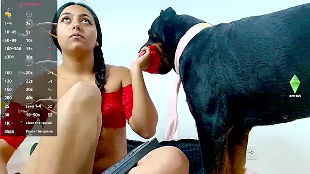 Girls: try live performances with matured performers, from dancing to quirks, in a variety of beautiful sex cams.