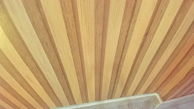 mia__blaze__ from StripChat is Freechat