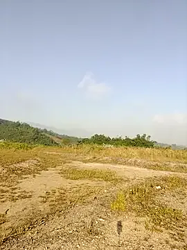 money-xx from StripChat is Freechat