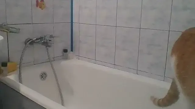 Nataliesbestjuggs from StripChat