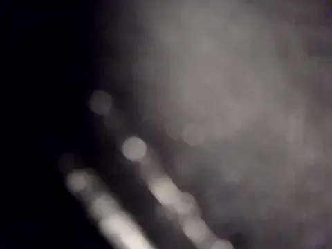 palomasex26 from StripChat is Freechat