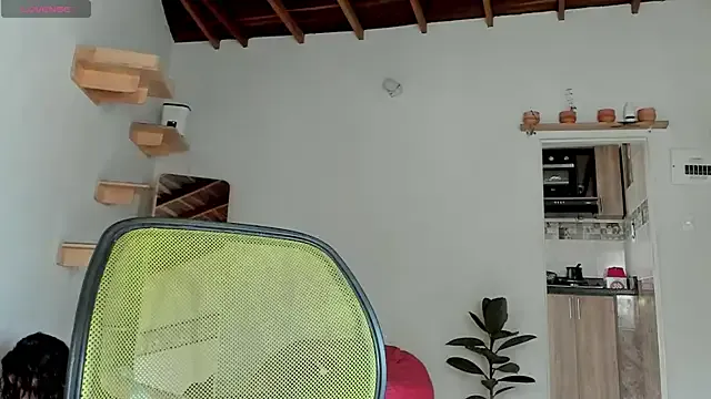 Rainbow_leia from StripChat is Freechat