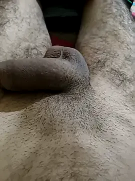 Realverse from StripChat is Freechat